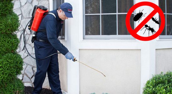 Saraydüzü Dezenfeksiyon böcek ilaçlama ve haşere kontrolü — ilaclama-tr.com